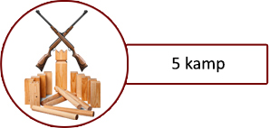 5 Kamp med masser at spil til sommeren