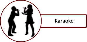 Karaoke med det hele inkl DVDer med hits
